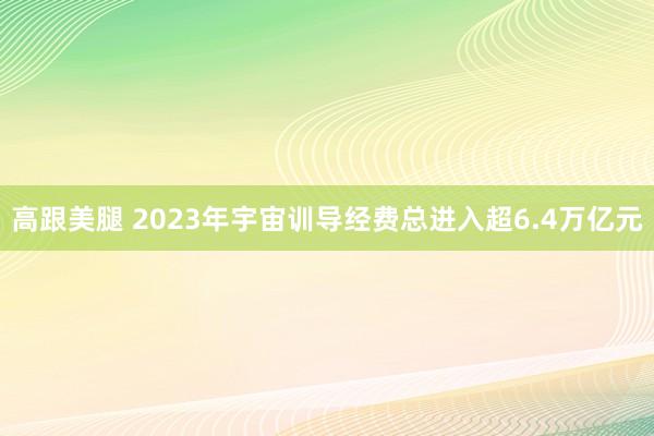 高跟美腿 2023年宇宙训导经费总进入超6.4万亿元