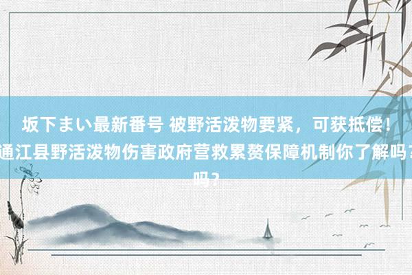 坂下まい最新番号 被野活泼物要紧，可获抵偿！通江县野活泼物伤害政府营救累赘保障机制你了解吗？