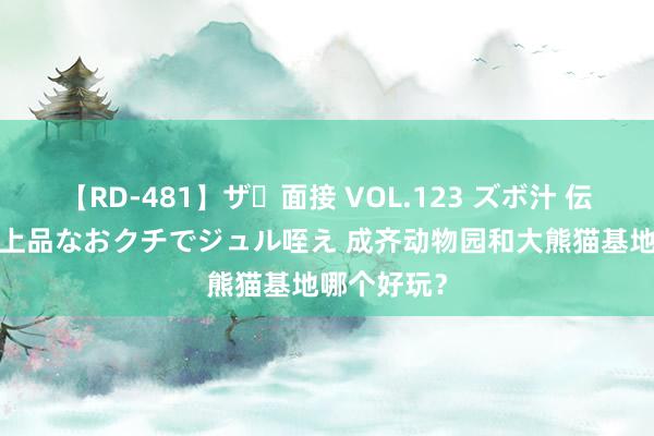 【RD-481】ザ・面接 VOL.123 ズボ汁 伝染 逆面接 上品なおクチでジュル咥え 成齐动物园和大熊猫基地哪个好玩？