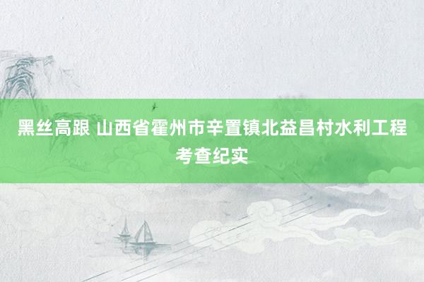 黑丝高跟 山西省霍州市辛置镇北益昌村水利工程考查纪实