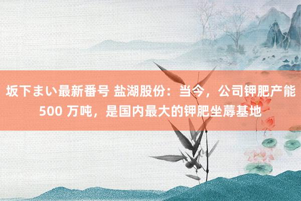 坂下まい最新番号 盐湖股份：当今，公司钾肥产能500 万吨，是国内最大的钾肥坐蓐基地