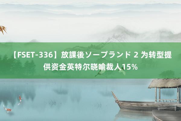 【FSET-336】放課後ソープランド 2 为转型提供资金　英特尔晓喻裁人15%