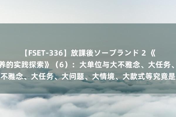 【FSET-336】放課後ソープランド 2 《大单位教学与中枢教养培养的实践探索》（6）：大单位与大不雅念、大任务、大问题、大情境、大款式等究竟是什么联系