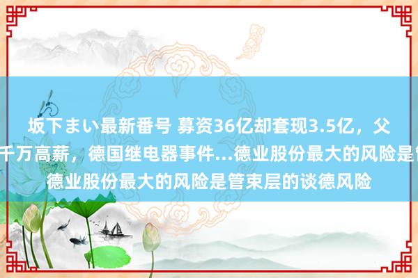 坂下まい最新番号 募资36亿却套现3.5亿，父子3东谈主拿走几千万高薪，德国继电器事件...德业股份最大的风险是管束层的谈德风险