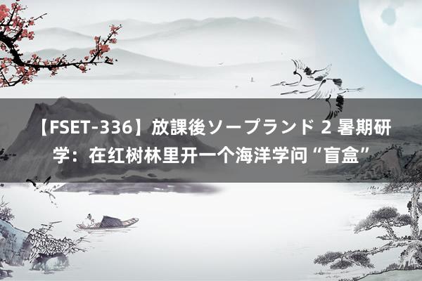 【FSET-336】放課後ソープランド 2 暑期研学：在红树林里开一个海洋学问“盲盒”