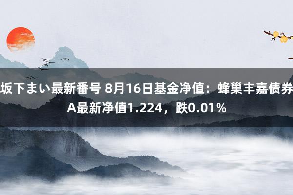 坂下まい最新番号 8月16日基金净值：蜂巢丰嘉债券A最新净值1.224，跌0.01%