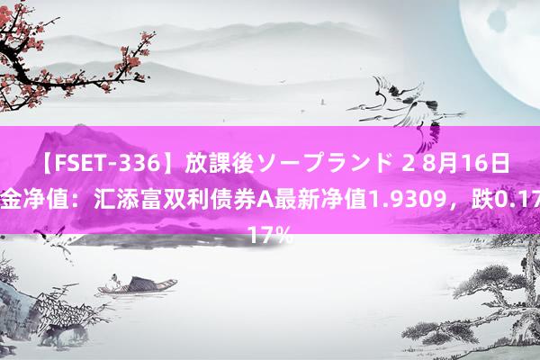 【FSET-336】放課後ソープランド 2 8月16日基金净值：汇添富双利债券A最新净值1.9309，跌0.17%