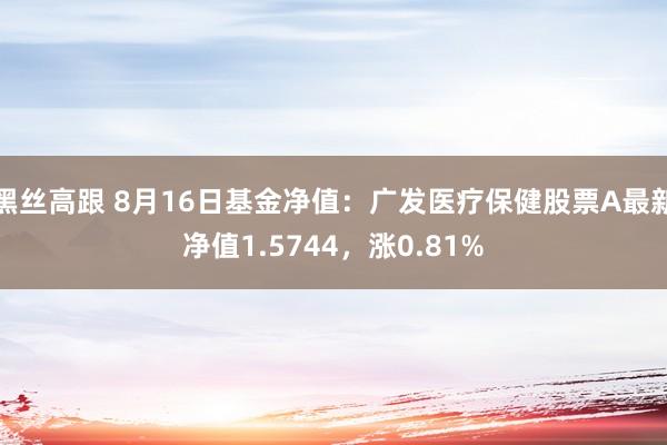 黑丝高跟 8月16日基金净值：广发医疗保健股票A最新净值1.5744，涨0.81%