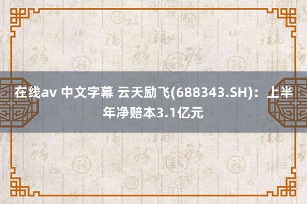 在线av 中文字幕 云天励飞(688343.SH)：上半年净赔本3.1亿元