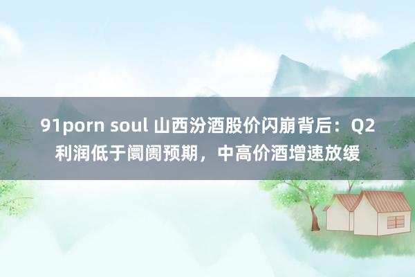 91porn soul 山西汾酒股价闪崩背后：Q2利润低于阛阓预期，中高价酒增速放缓