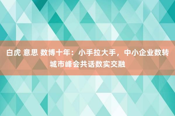 白虎 意思 数博十年：小手拉大手，中小企业数转城市峰会共话数实交融