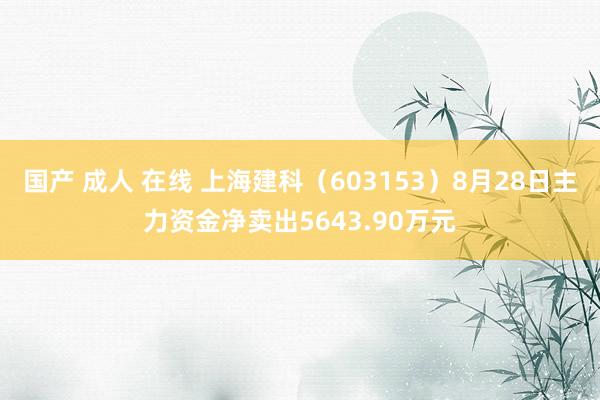 国产 成人 在线 上海建科（603153）8月28日主力资金净卖出5643.90万元