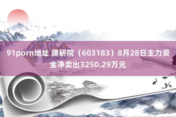 91porn地址 建研院（603183）8月28日主力资金净卖出3250.29万元