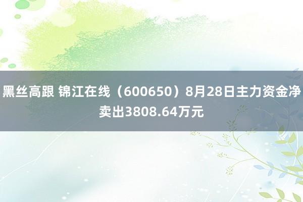 黑丝高跟 锦江在线（600650）8月28日主力资金净卖出3808.64万元