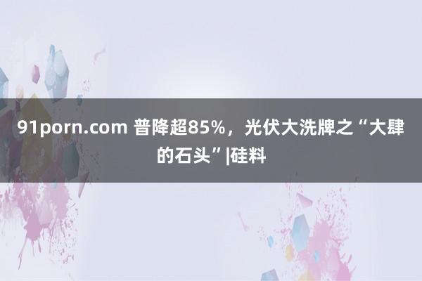 91porn.com 普降超85%，光伏大洗牌之“大肆的石头”|硅料