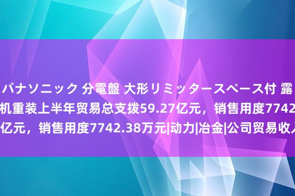 パナソニック 分電盤 大形リミッタースペース付 露出・半埋込両用形 国机重装上半年贸易总支拨59.27亿元，销售用度7742.38万元|动力|冶金|公司贸易收入