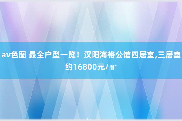 av色图 最全户型一览！汉阳海格公馆四居室，三居室约16800元/㎡