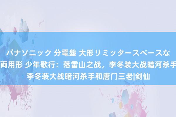 パナソニック 分電盤 大形リミッタースペースなし 露出・半埋込両用形 少年歌行：落雷山之战，李冬装大战暗河杀手和唐门三老|剑仙