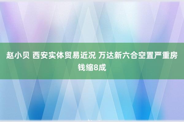 赵小贝 西安实体贸易近况 万达新六合空置严重房钱缩8成