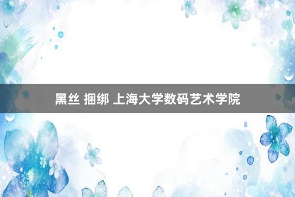 黑丝 捆绑 上海大学数码艺术学院