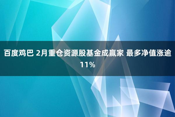 百度鸡巴 2月重仓资源股基金成赢家 最多净值涨逾11%