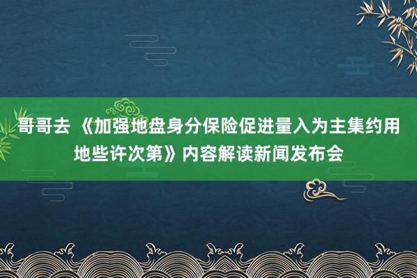 哥哥去 《加强地盘身分保险促进量入为主集约用地些许次第》内容解读新闻发布会