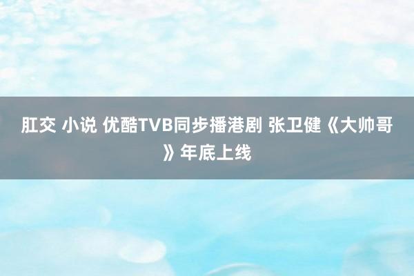 肛交 小说 优酷TVB同步播港剧 张卫健《大帅哥》年底上线