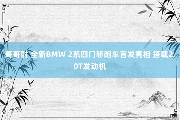 哥哥射 全新BMW 2系四门轿跑车首发亮相 搭载2.0T发动机